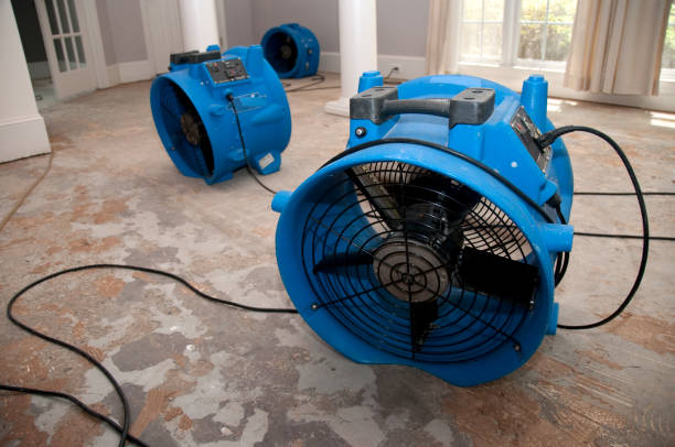 Best Ceiling water damage repair  in Penbrook, PA